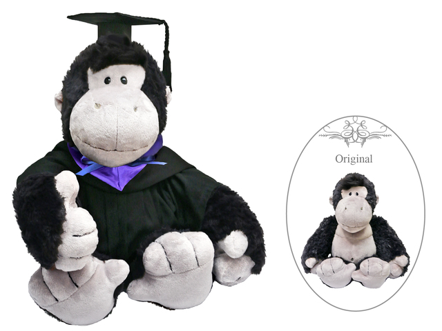 Florist Gift - Nici Graduation Doll - Gorilla  - L36667417 Photo