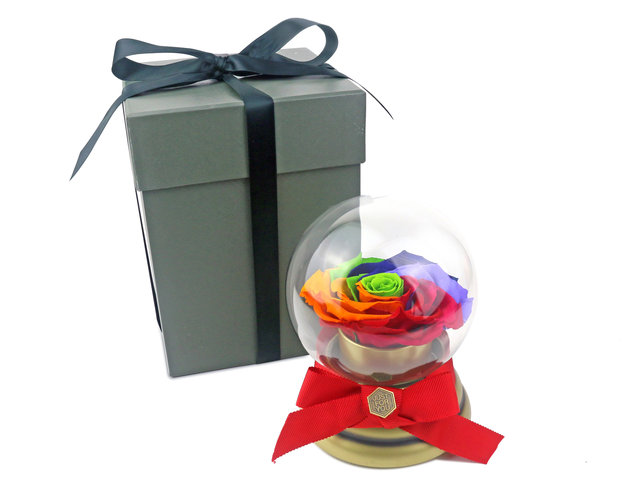 Preserved Forever Flower - 360 Degree Rotating Rainbow Rose Music Box M56 - L45000091 Photo