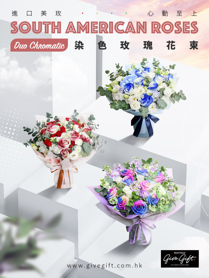  double colour roses duo chromatic 雙色玫瑰 染色玫瑰